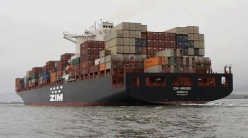 巨輪再添新翼 全球最大集裝箱船獨立船東加速船隊擴張與船員戰略布局