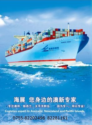 連接航運脈絡 船舶服務的全方位解析