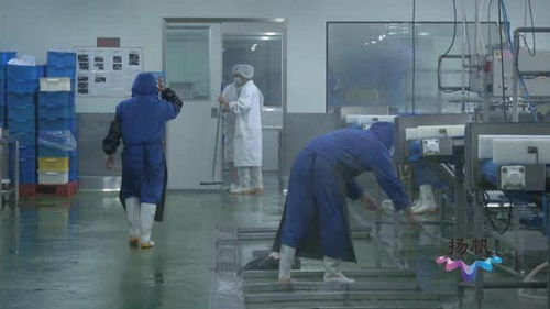 揚州市市場監督管理局 以“硬核監管”與“周到服務”雙輪驅動，筑牢餐飲安全防線